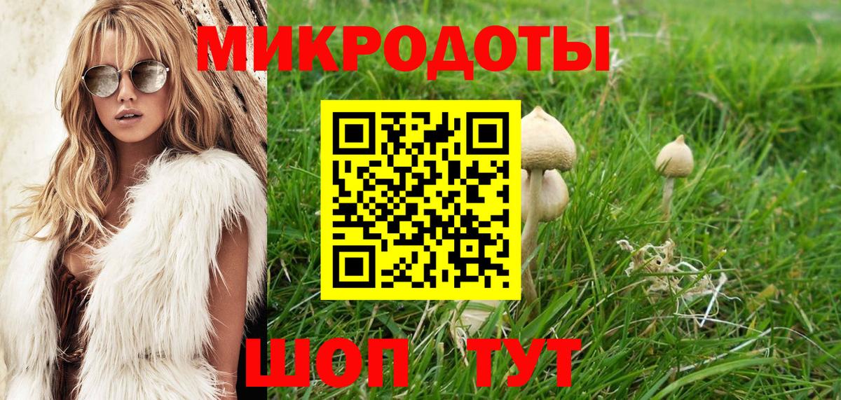 Майский  Галлюциногенные грибы Cubensis  Вход с VPN 